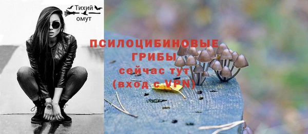 тгк Белокуриха