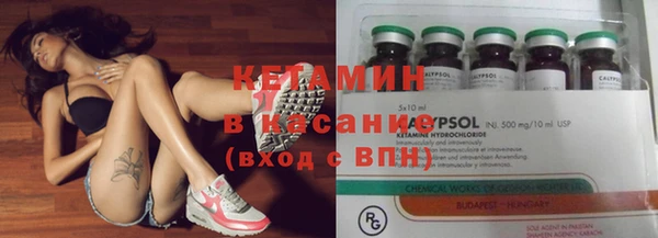 сатива Покачи