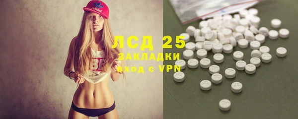 сатива Покачи
