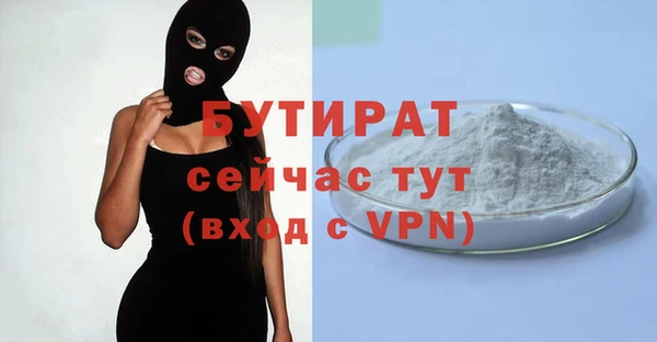 сатива Беломорск