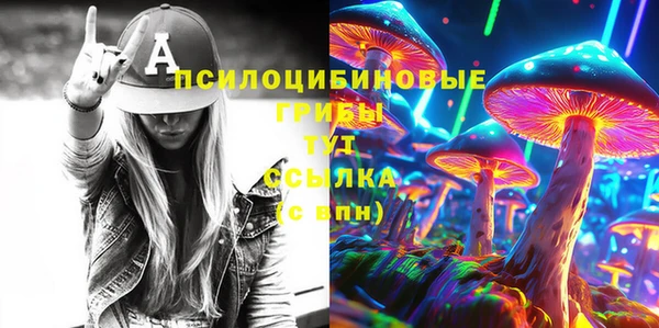 сатива Беломорск
