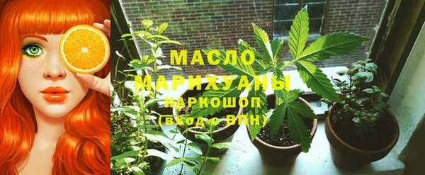 сатива Беломорск