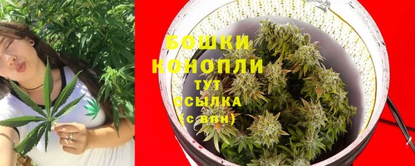 тгк Белокуриха