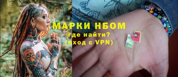 сатива Беломорск