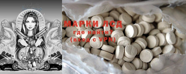 сатива Покачи