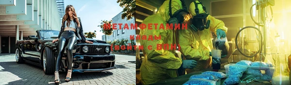 сатива Беломорск
